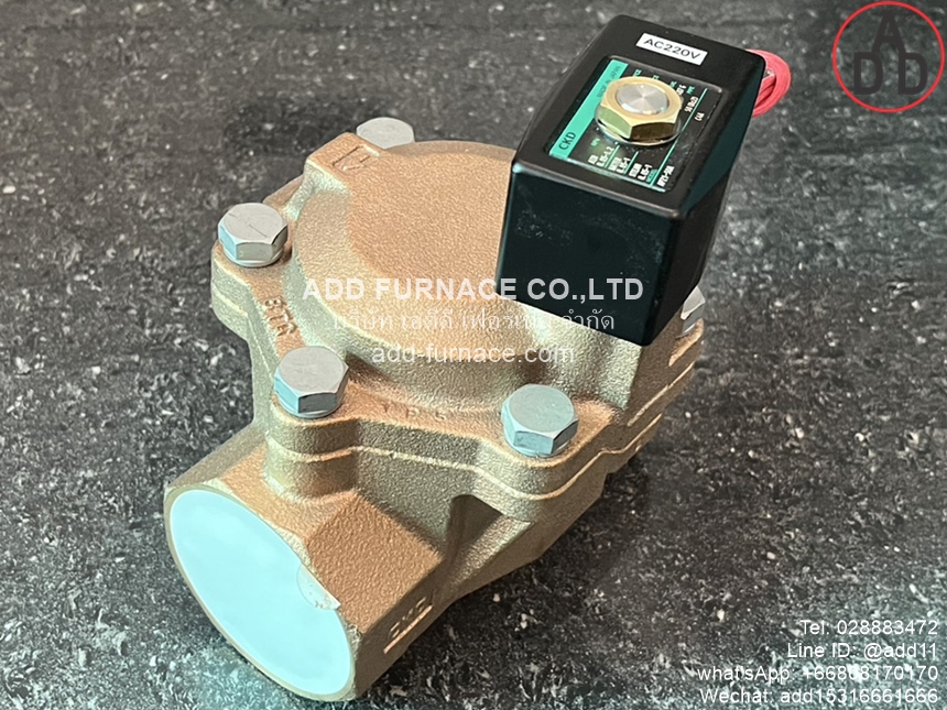 CKD AP21-50A-C4A-AC220V (4) 